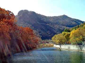 天天彩好彩天天免费，黑帽seo自学